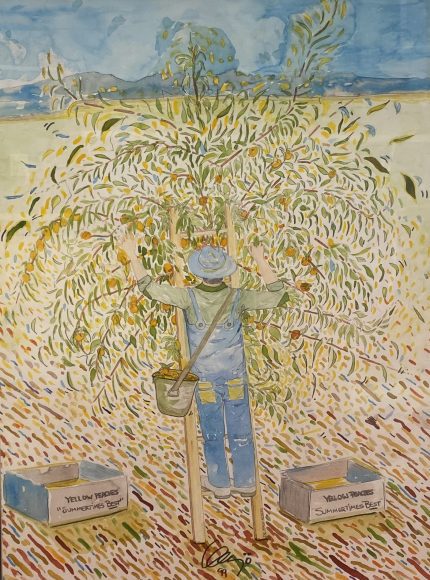 The Peach Picker