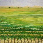Santa Ynez Vineyard