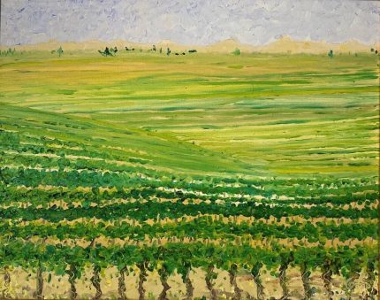 Santa Ynez Vineyard