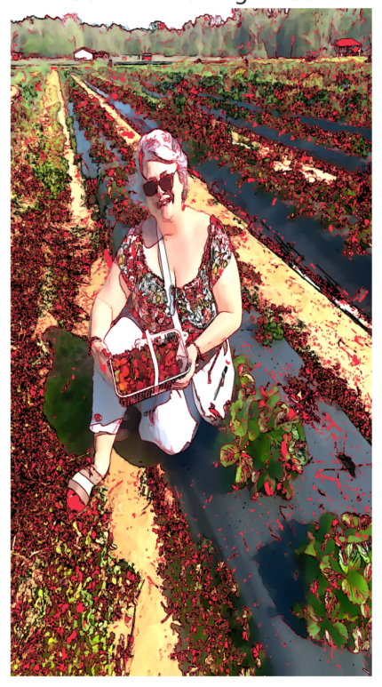Strawberry Fields of Milton