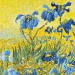 Blue Irises Under Yellow Sky