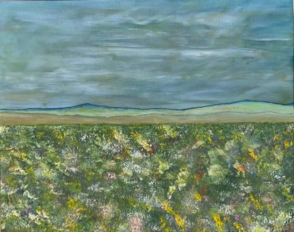 Oxnard Wildflower Fields / Overcast Day