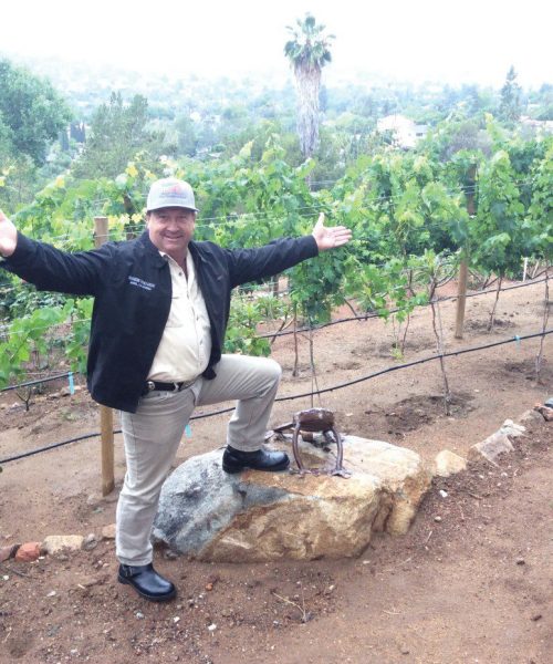 20250407190843_0-Grego in VIneyard Photo 20250407190843_0-Grego in VIneyard Photo